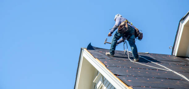 Best Storm Damage Roof Repair  in Franklin, TN